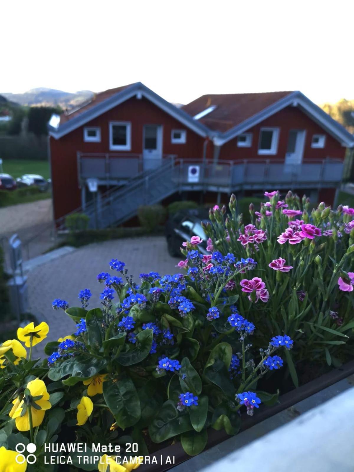 Village Hotel Bayerischer Wald Neukirchen  Dış mekan fotoğraf
