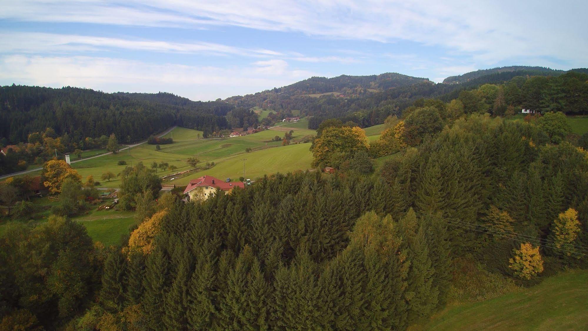 Hotel Bayerischer Wald Neukirchen  Dış mekan fotoğraf