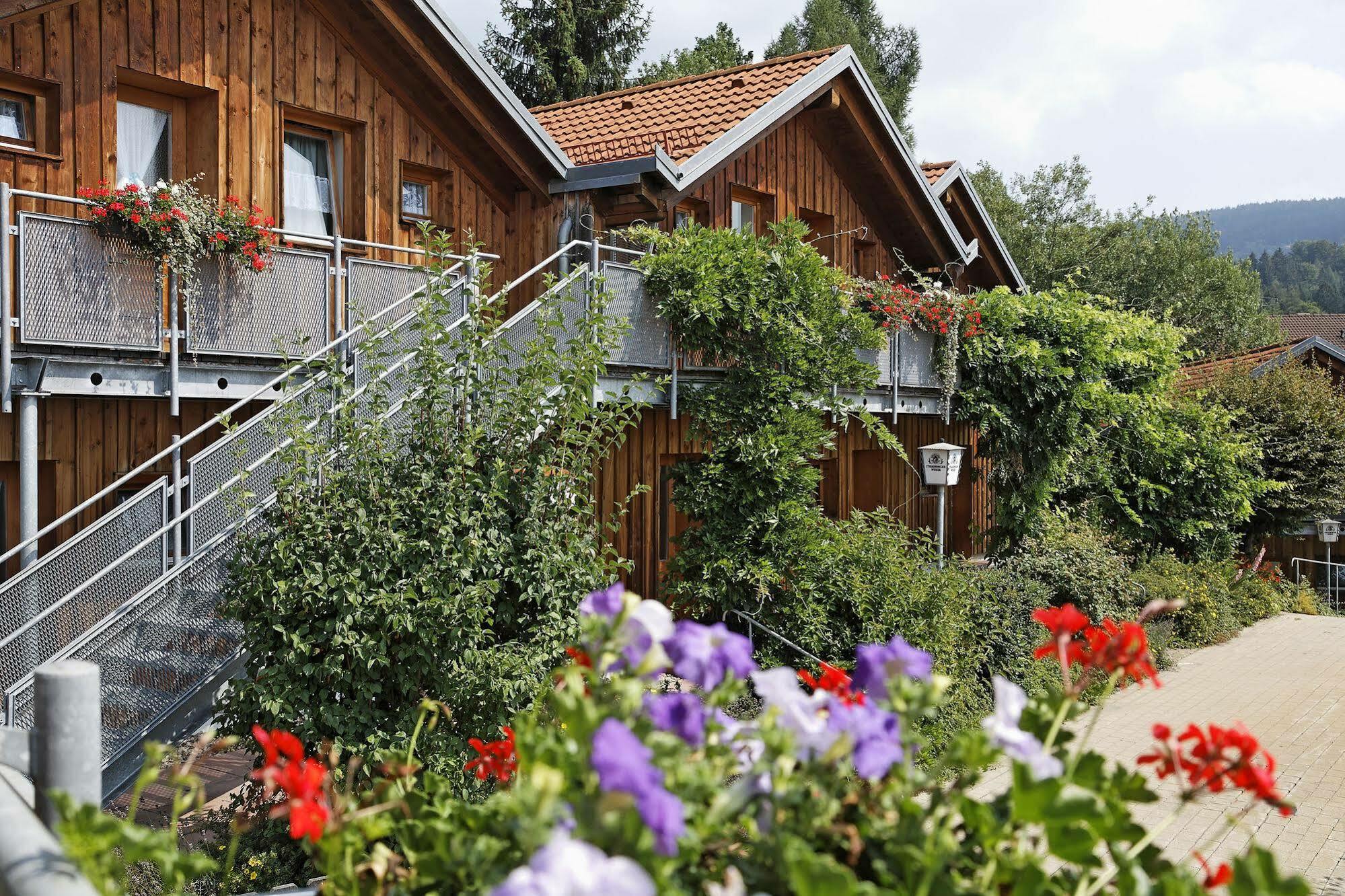 Village Hotel Bayerischer Wald Neukirchen  Dış mekan fotoğraf